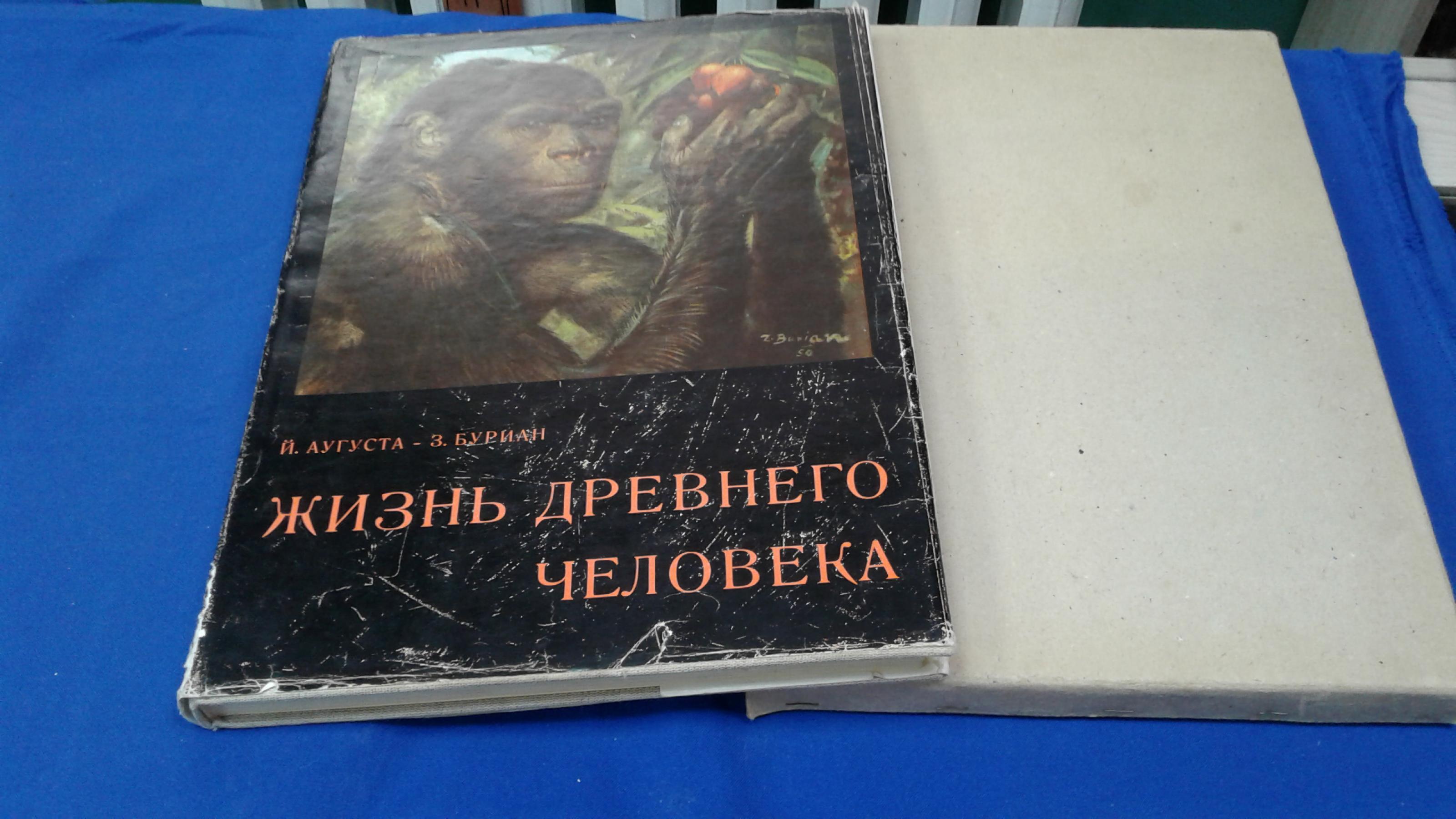 Аугуста И., Буриан З., Жизнь древнего человека.. Иллюстрации Буриана З.,  выполненные по данным и под научным руководством автора.