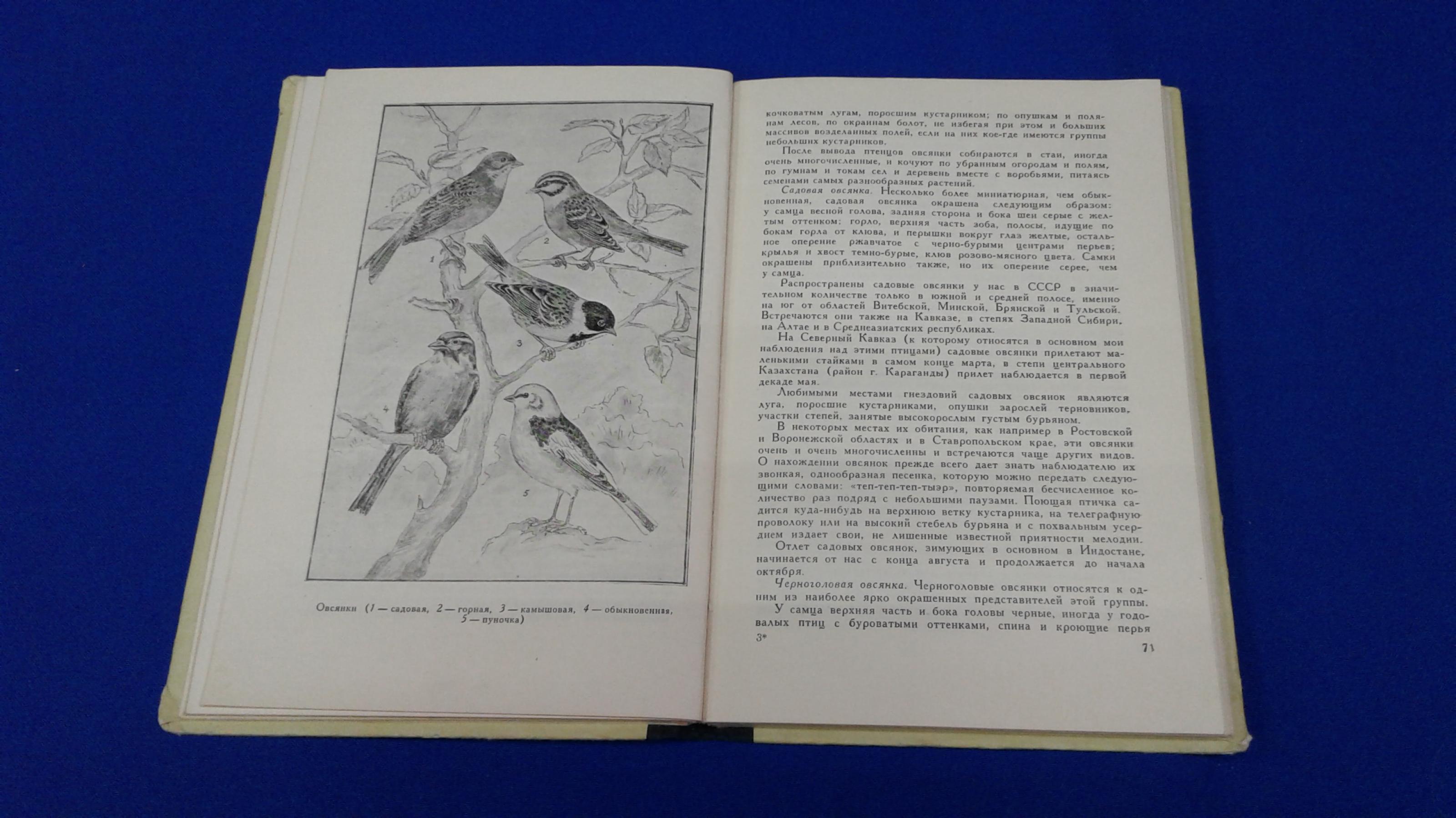 Беме Л.Б., Жизнь птиц у нас дома. (Записки птицелова). Под редакцией Р. Л.  Беме.. Издание 2-е, исправленное. Под редакцией Р. Л. Беме.