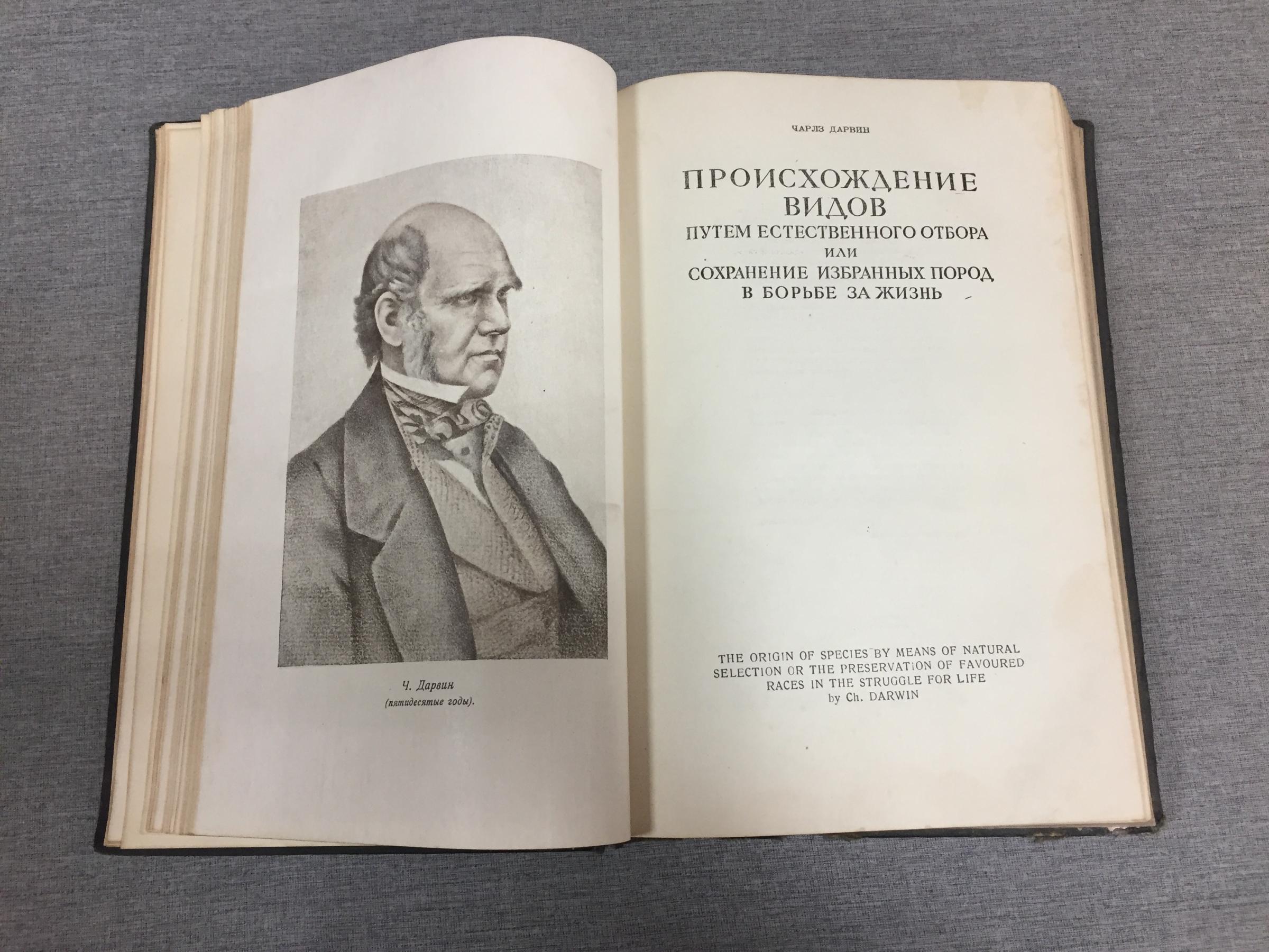 происхождение видов манга 62 глава фото 66